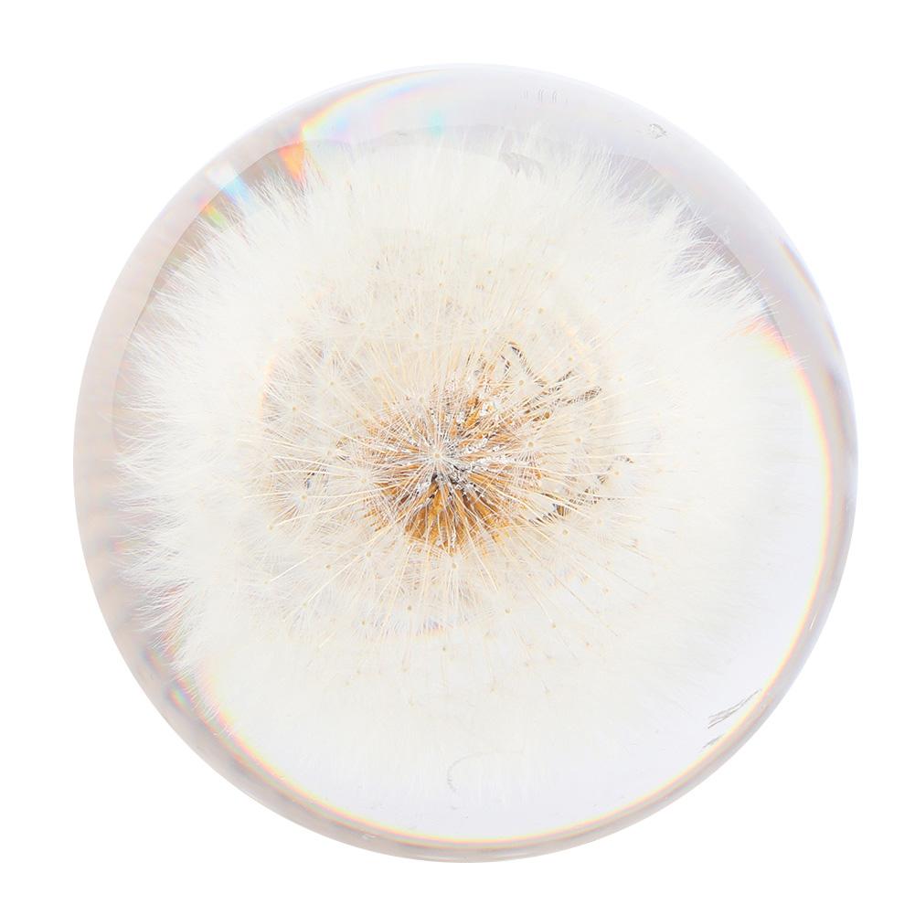 2.8in Shift Knob Crystal Real Dandelions Flowers Universal Accessory with 3 Thread Adapter