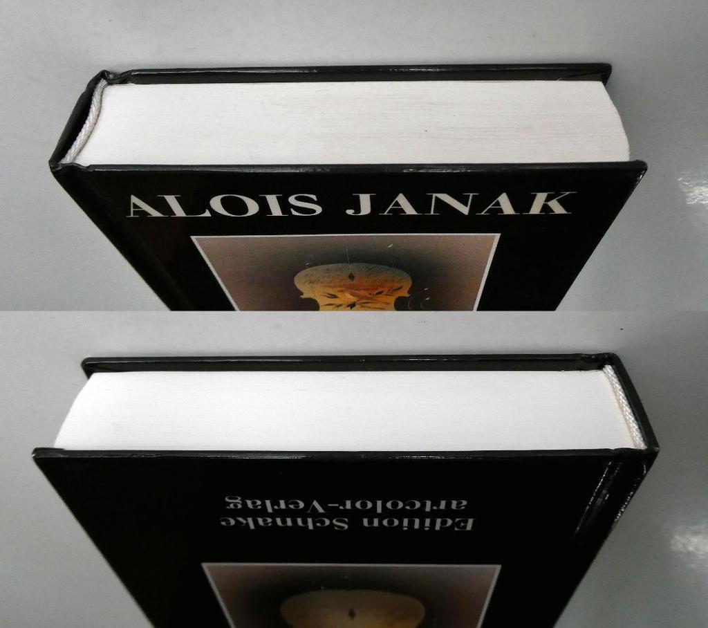 [USED] Used ALOIS JANAK Works Collection 1990 Foreign Book