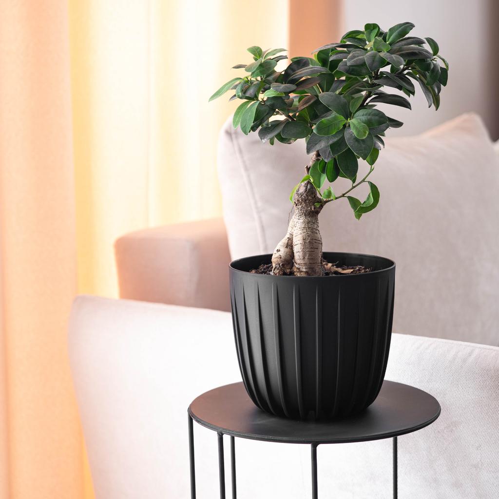 KADAX Blumentopf Übertopf Pflanzgefäß 12,5cm Rund Kunststoff Pflanzenständer Schwarz