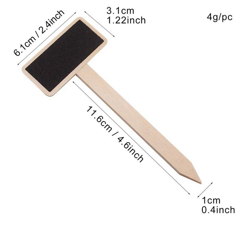 Seedling Tags Classification Plant Tags Plants  Signs Plant  Markers Garden Decoration Tools