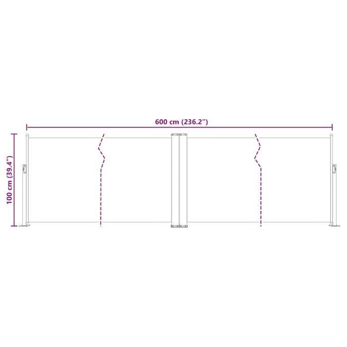 VidaXL Auvent latéral rétractable Noir 100 x 600 cm