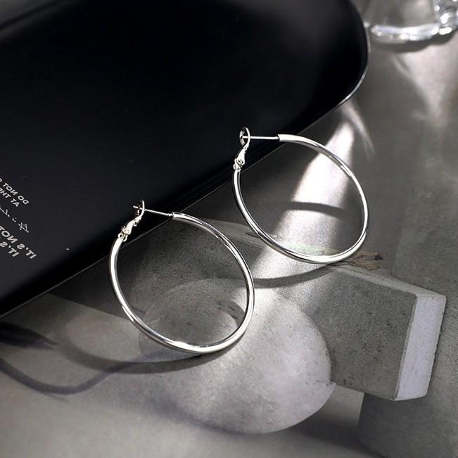 925 Sterling Silver Hoop Earrings: 2025 Modern Niche Design - Elegant & Luxurious for Women