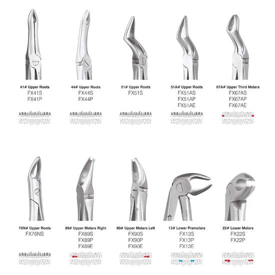 GDC Extraction Forceps Standard