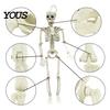 Sturdy Skeleton Figure for Garden Landscaping Halloween Decoration, 3Ft Life Size Full Body Human Bone, Realistic Posable Plastic Yard Decor