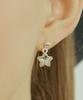 Vvv [Silver 925] Cubic Star Earrings