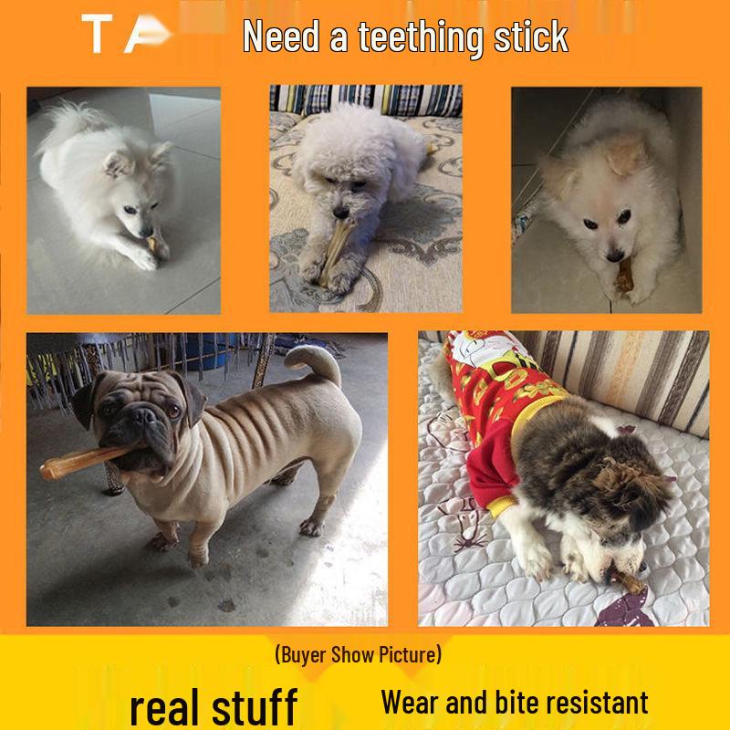 Long-Lasting Rawhide Chew Bone Dog Toy - Dental Snack for Puppies and Dogs