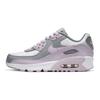 Air Max 90 Шкіряні 'Iced Lilac' Gs CD6864-002