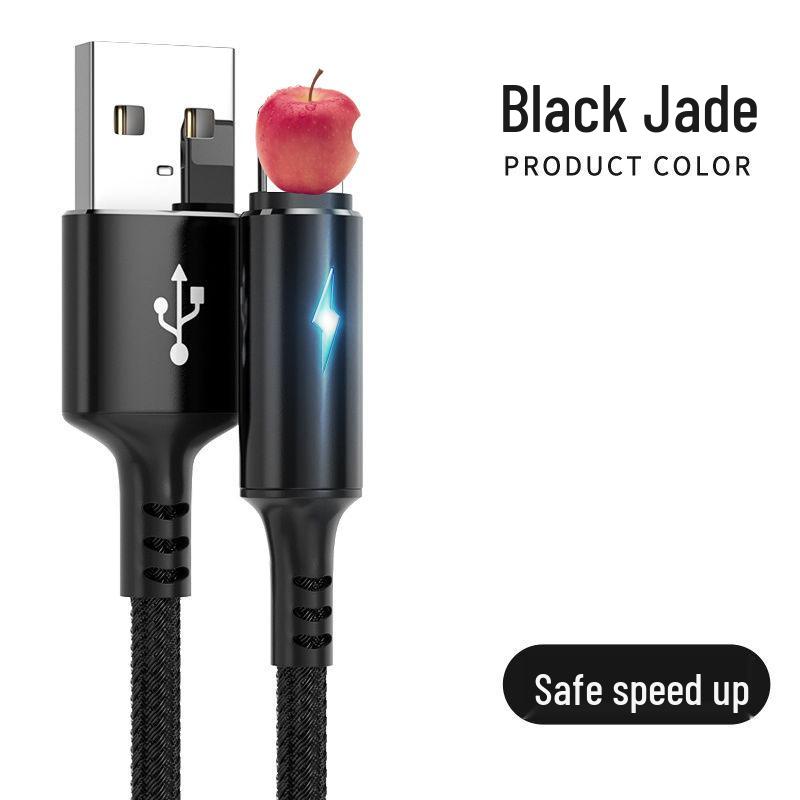 5A Fast Charging Luminous USB-C Lightning Cable for Apple & Android Devices