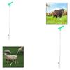 Leg Crook Catching Tool Goat Grabber Sheep Holder Catcher Hook 50cm