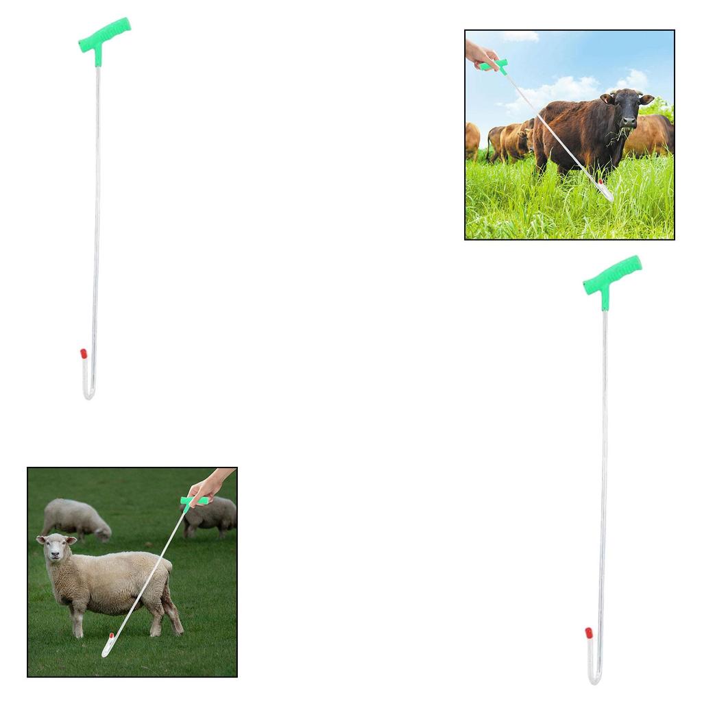 Leg Crook Catching Tool Goat Grabber Sheep Holder Catcher Hook 50cm