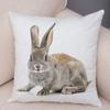 Home Sofa Kids Room Decor Cute Pet Animal Print Cushion Cover Pillowcase  Rabbit