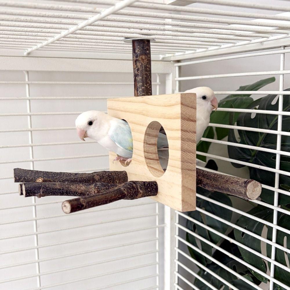 Natural Wood Bird Branch Stand Detachable Double-hole Perch Parrot Parrot Perch Wear-resistant Chew-able Beak Grinding