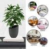 Square Plant Dolly Thickened Rolling Planter Base Heavy Duty Tray Movable Pot Pallet Stand Indoor Outdoor Garden with Hidden