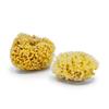 Gąbka do kąpieli - naturalna morska - rozmiar mini 8-10 cm |xs