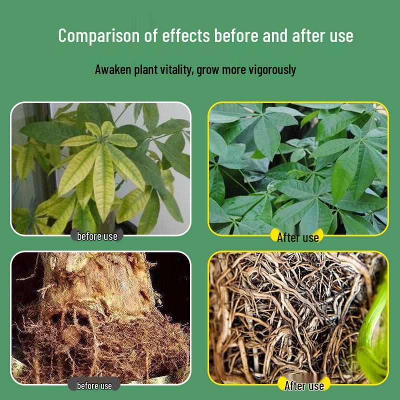 Obecný roztok živin pro rostliny pro pěstování květin, zelených rostlin, potosů a penízovníků, hydroponické tekuté hnojivo