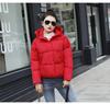 Small cotton-padded jacket European and American hooded cotton-padded clothes women's short loose student bread clothes cotton-padded clothes winter