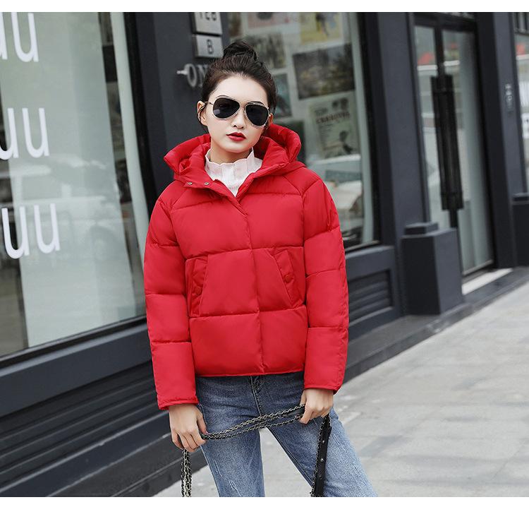 Small cotton-padded jacket European and American hooded cotton-padded clothes women's short loose student bread clothes cotton-padded clothes winter