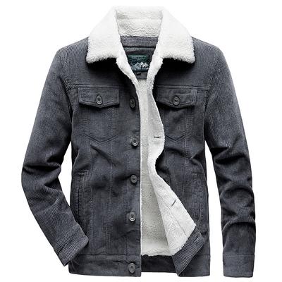 Lamb Wool Jacket Men's Autumn and Winter Thickened Cotton-padded Clothes Striped Wool Tooling Cotton-padded Jacket