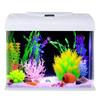 2024 Desktop Rectangle Glass Fish Tank - Eco-Friendly, Easy Water Change, Perfect for Living Room and Small Goldfish