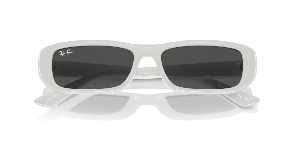 Sunglasses RB4436D WHITE 55 Ray-Ban
