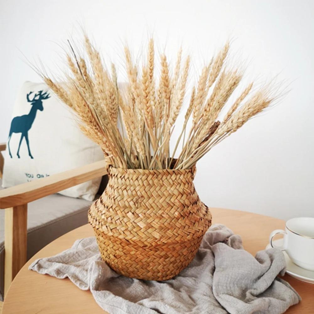 50 uds. Espigas de Trigo Seco Natural Flores Secas Rústicas Tallos de Trigo Seco Decoraciones para Bodas Fiestas