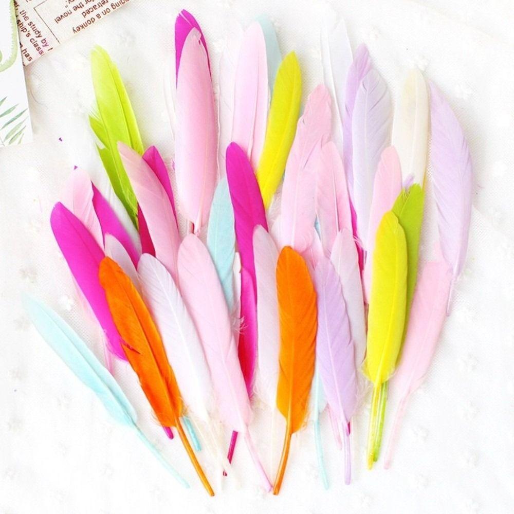 50PCS Colorful Natural Goose Feathers Natural Feather Colored Feathers  DIY Home Crafts