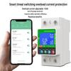 Graffiti WiFi Smart Circuit Breaker: 2P Timer, 20A Overload Protection for Low Voltage Appliances