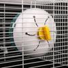 Hamster Wheel Silent Hamster Exercise Wheels Spinner Hamster Running Wheels For Small Animals Hamsters Gerbils Mice