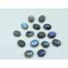8X10MM Natural Labradorite Blue Fire Oval Cabochon Loose Gemstone 15Pcs Lot C-1087