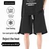 Men's Plus Size Quick-Dry Sports Shorts