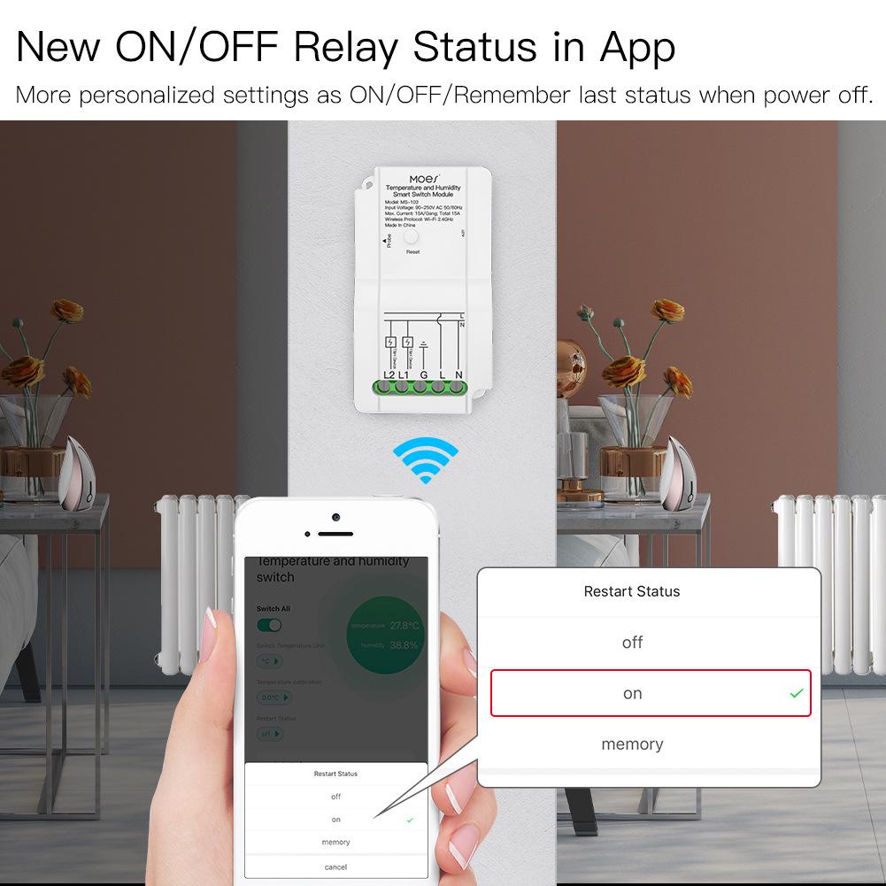 Graffiti WiFi Dual-Channel Temp & Humidity Switch with Timer & Alexa Support