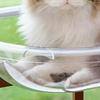 Minimalist Modern Cat Hammock Space Capsule Sunshine Warming Cat Hammock Transparent Pet Products Amaca Per Gatti XY40MDC