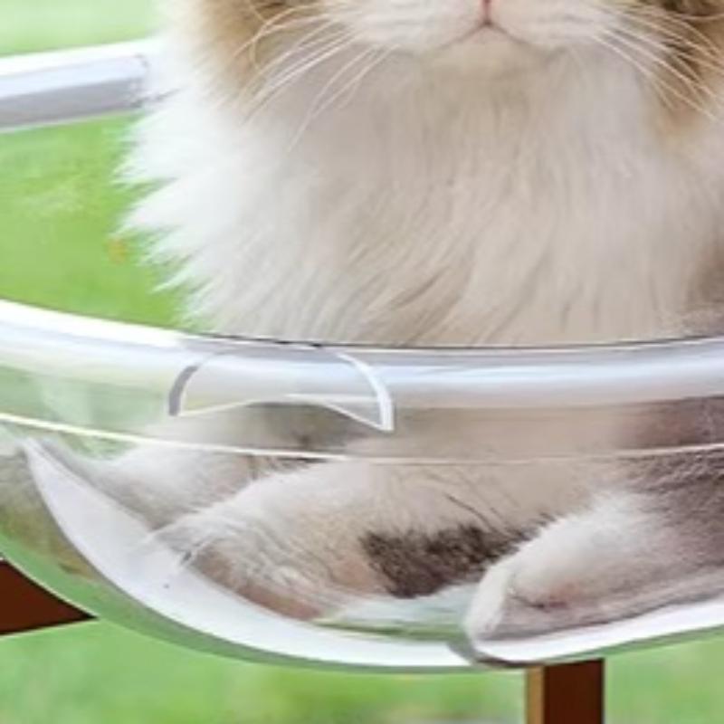 Minimalist Modern Cat Hammock Space Capsule Sunshine Warming Cat Hammock Transparent Pet Products Amaca Per Gatti XY40MDC