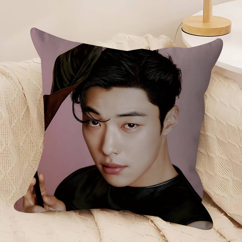 

Actor W-Woo Do-hwan Pillow Case Removable Washable Cushion Cover – All-Season Soft Linen 12x12Inch