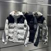Men's Hooded Down Jacket, Autumn and Winter New Style, Trendy Versatile Color-Blocking, Thickened and Warm, White Duck Down Coat