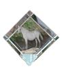 Lipizzan – Crystal Cube with a Horse Picture, Horse Picture In Crystal |
