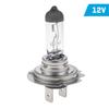 VISION H18 12V 65W PY26d-1 Light Bulb