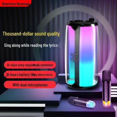 Newmine K19 Portable Karaoke Bluetooth Speaker with Microphone CN Plug (adapter Included)