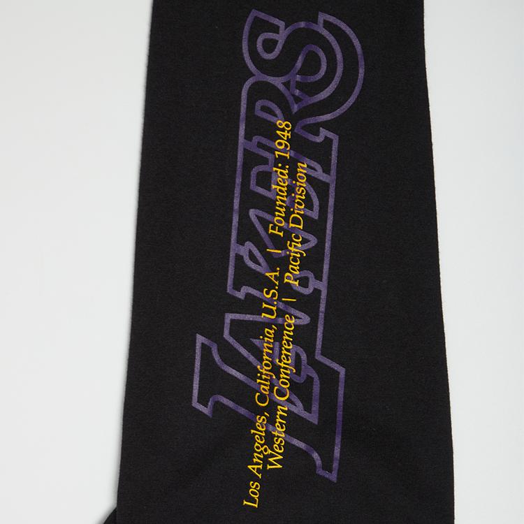 Nike X NBA Hoodie Youth Los Angeles Lakers Small Logo Round Neck Comfortable Skin-Friendly Simple Long Sleeve Kids hoodies Black 3Z2B7BBKY-LAK