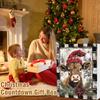 Highland Cow Adventskalender 2025 Weihnachts-Countdown-Kalender Niedliche Kuh Weihnachtsornamente Weihnachtsbaumschmuck Weihnachtsgeschenke