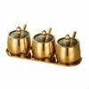 Stainless Steel Seasoning Container Set with Tray DustResistant ThreeCompartment Condiment Holder