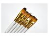 Aishake 15-Piece Nylon Hair Paint Brush Set with Black Canvas Bag and Sponge Scraper