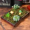 50/100/500g Artificial Moss Simulation Fake Green Plant Landscape Decorative DIY