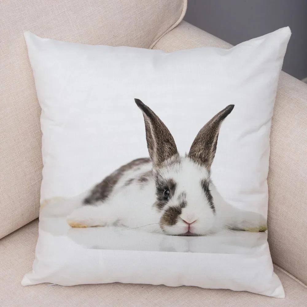 Home Sofa Kids Room Decor Cute Pet Animal Print Cushion Cover Pillowcase  Rabbit