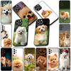 Soft Cover for Apple iPhone 13 12 Mini XS 11 Pro Max 7 8 Plus + XR SE 2022 2020 SE3 Coque Phone Case Pomeranian Poodle Dog