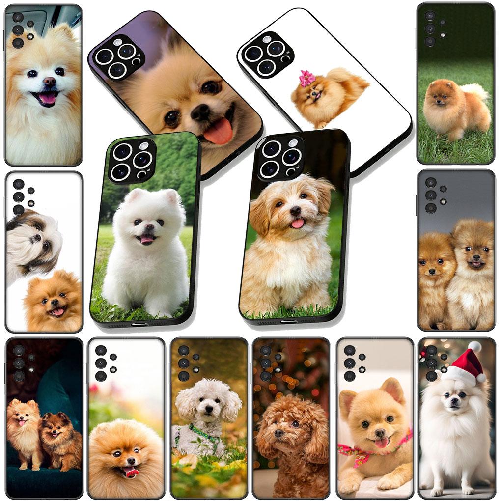 Soft Cover for Apple iPhone 13 12 Mini XS 11 Pro Max 7 8 Plus + XR SE 2022 2020 SE3 Coque Phone Case Pomeranian Poodle Dog