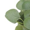Artificial Plants Silk Eucalyptus Leaf Wedding Bridal Accessories Clearance Fake Rose Vase Home Room Table Decor Festival Wreath