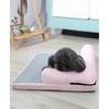 Comfortable Pet Summer Sleeping Mat Sofa for Cat Dogs Teddy Bichon