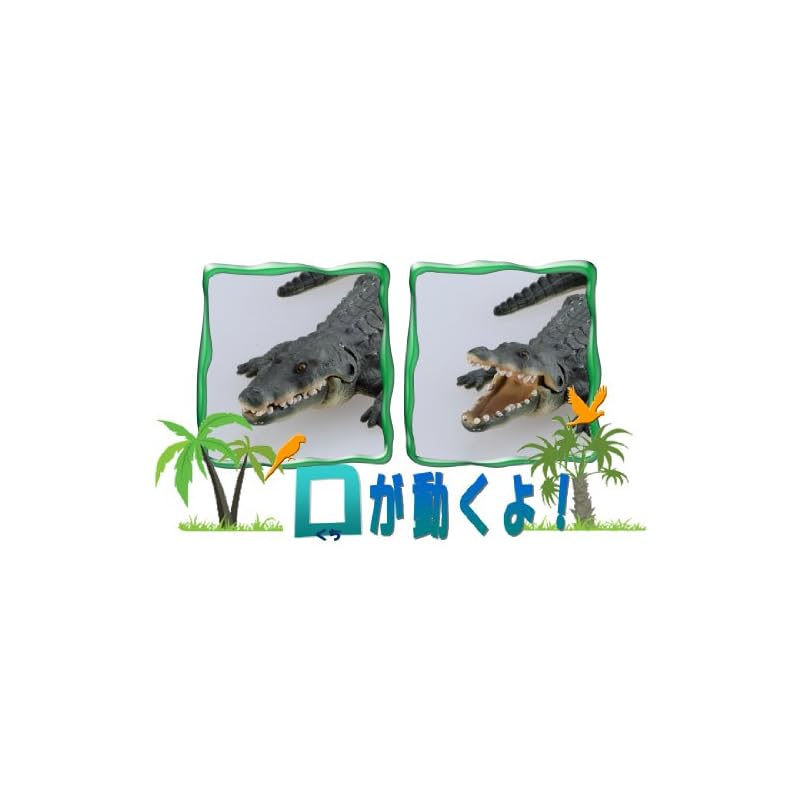 Ania AS-08 Nile Crocodile