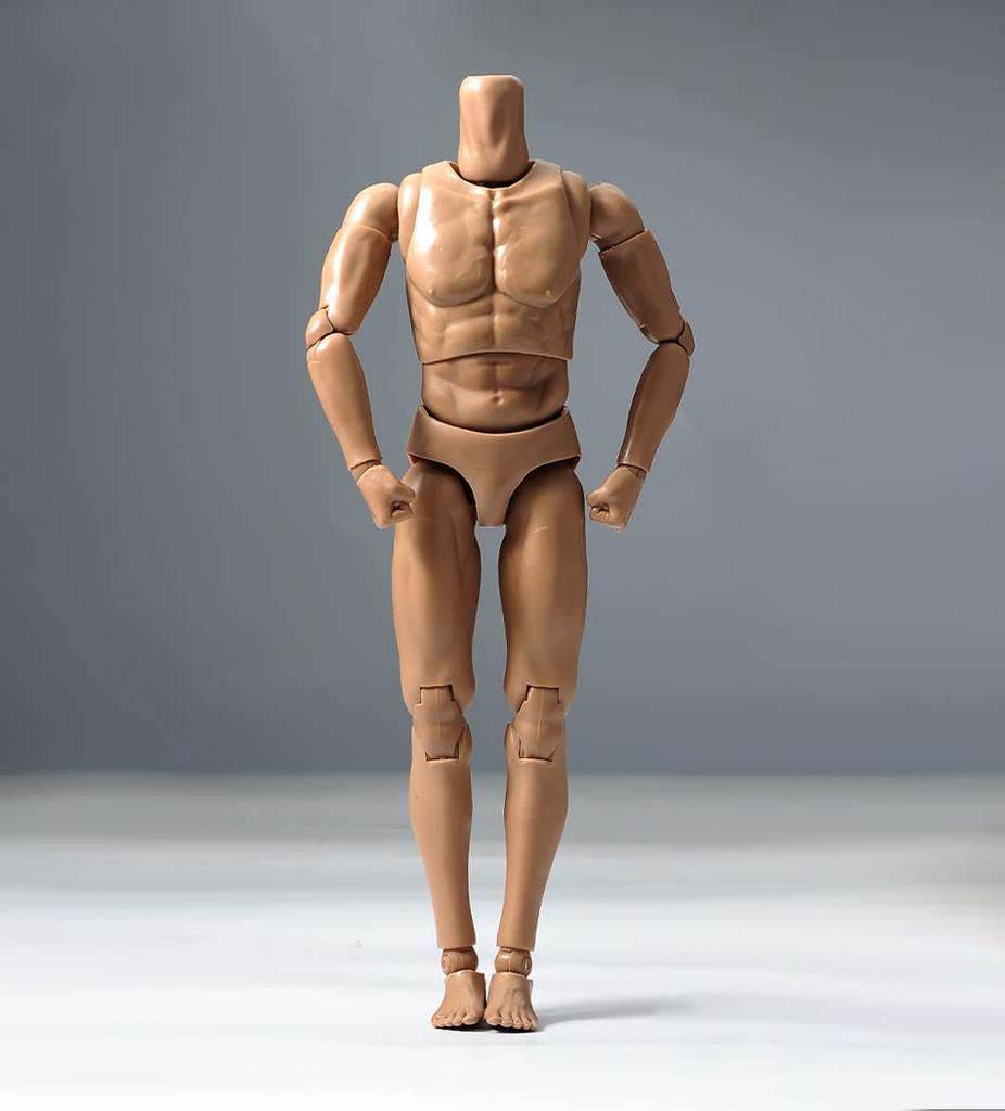 12-inch Male Soldier Body Model, Muscular Male Body Model, Fits 1/6 Head Sculpt, Action Figure Body